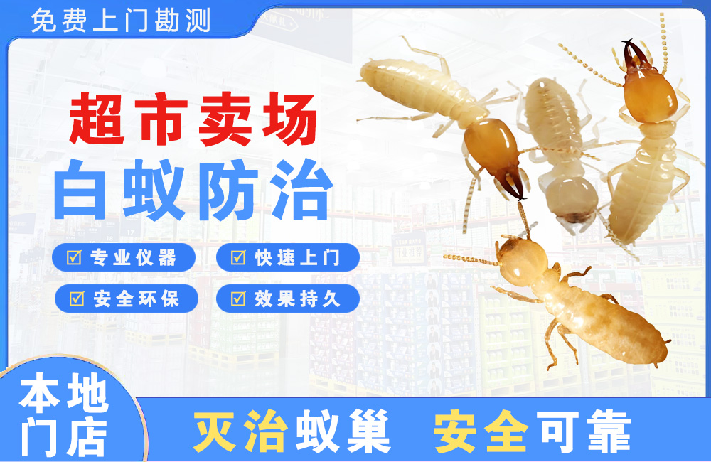 阜宁超市卖场白蚁防治