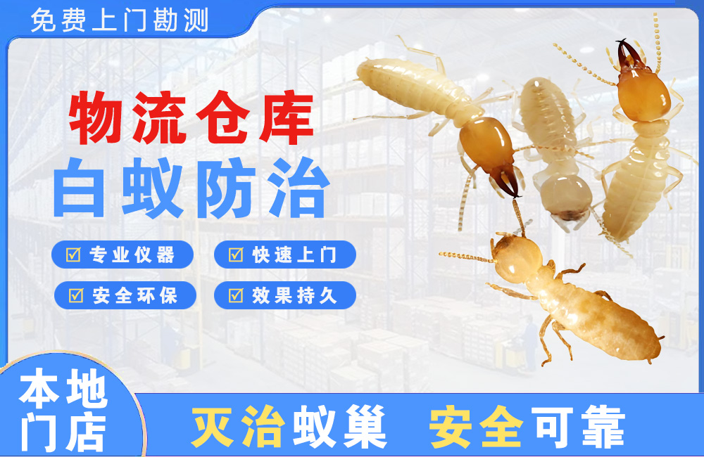 阜宁物流仓库白蚁防治