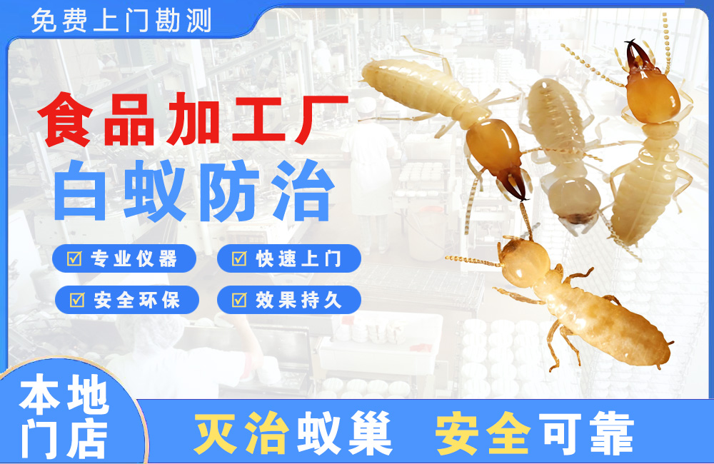 阜宁食品加工厂白蚁防治