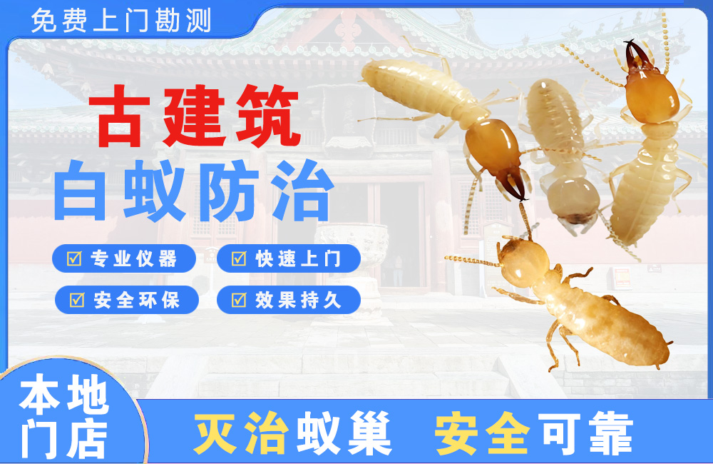 阜宁古建筑白蚁防治