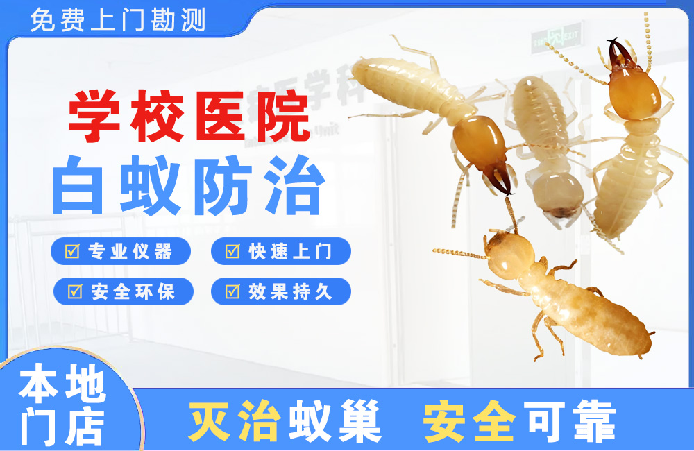 阜宁学校医院白蚁防治