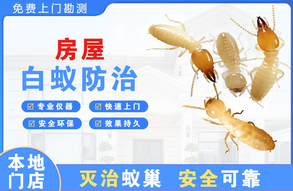 阜宁房屋白蚁防治